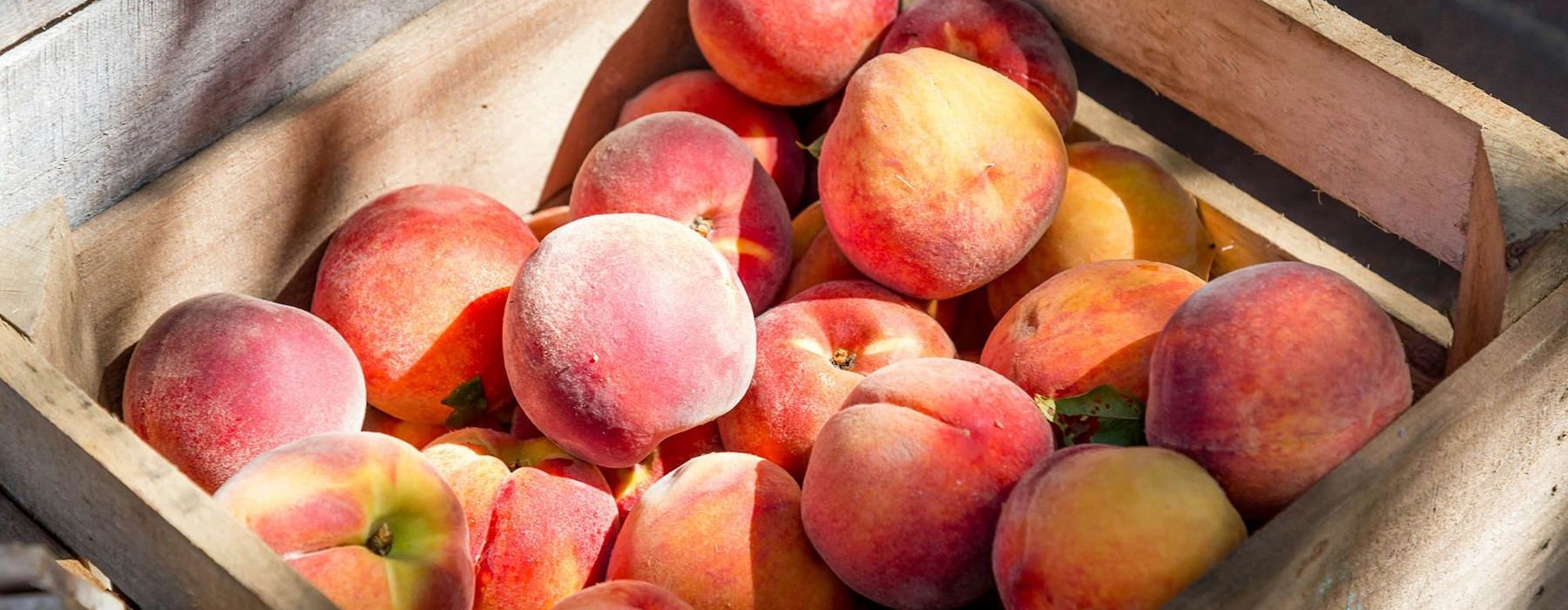 a crate full of peaches